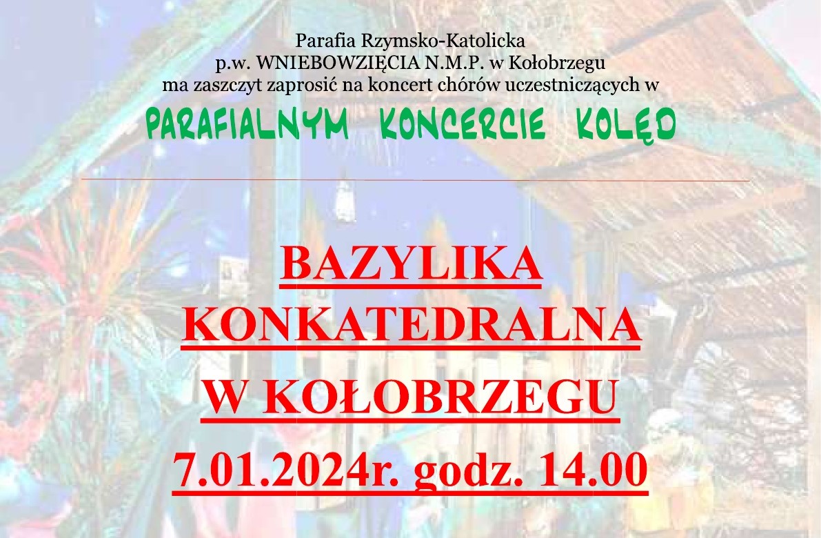 You are currently viewing Zapraszamy na Parafialny Koncert Kolęd