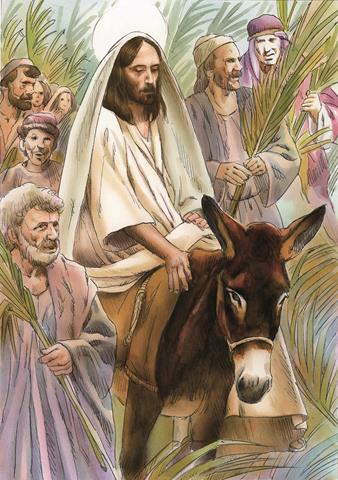 Read more about the article Niedziela Palmowa w tradycji Kościoła